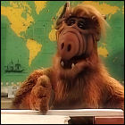 ALF