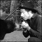 Have Gun - Will Travel