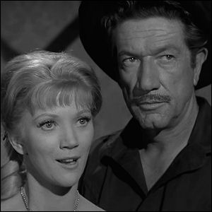 Have Gun - Will Travel