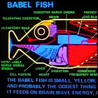 Babel fish