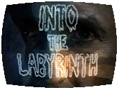 Into The Labyrinth