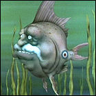 Old Fart Fish
