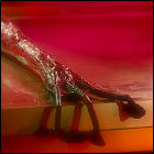 The War Of The Worlds