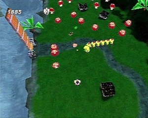 Centipede