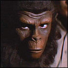 Planet Of The Apes