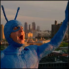 The Tick